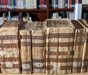 Beca Cátedra Simón Ruiz 2024